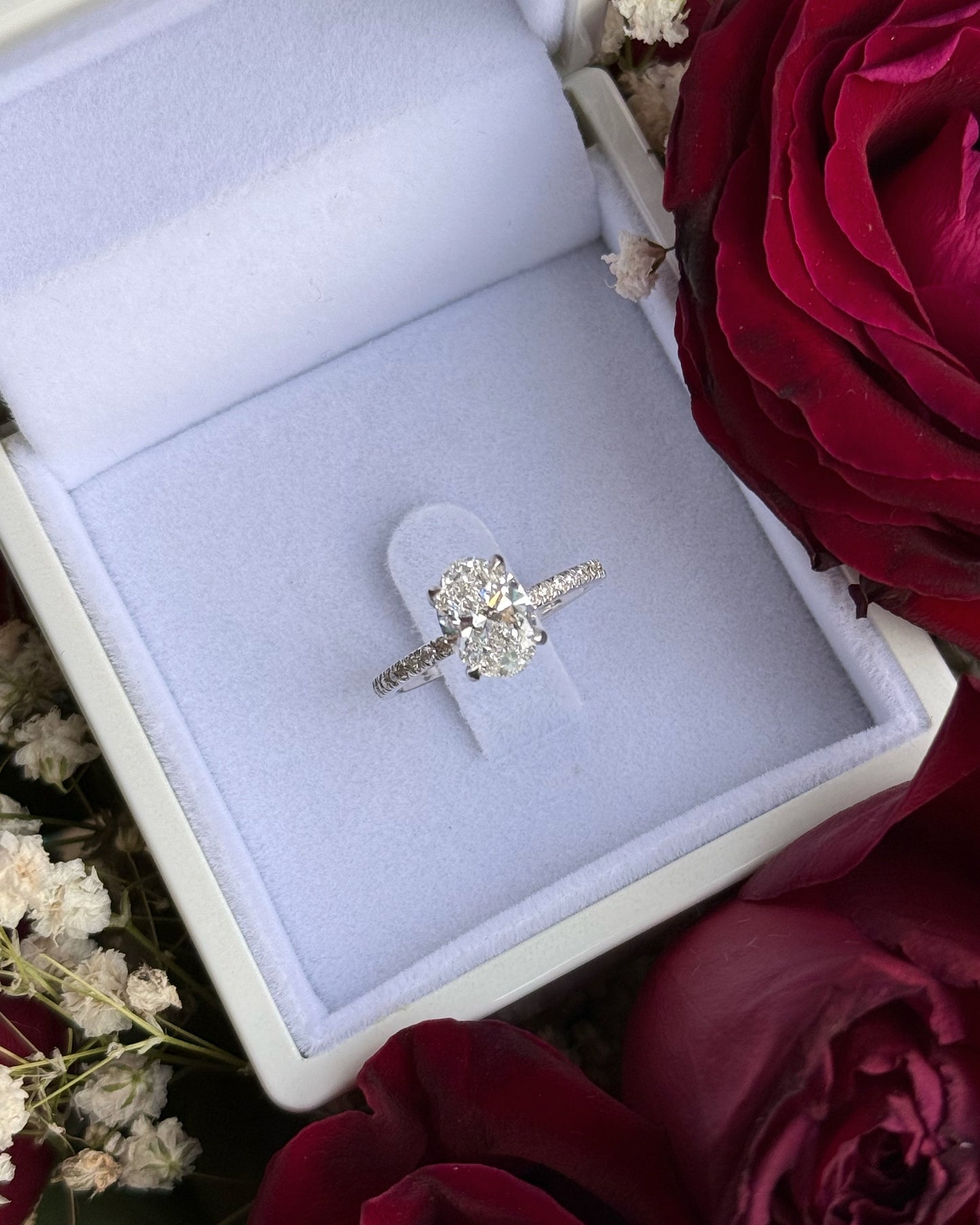 Shoval Engagement Ring 14K | 14K טבעת אירוסין שובל